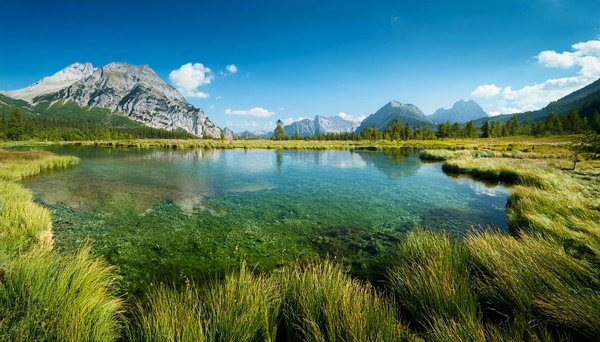 Vivez l'élégance avec la location de limousine à Bruxelles
